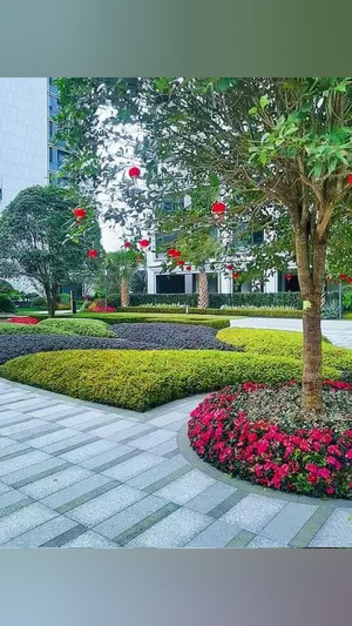 無需艷羨別人的風景，腳下的路終會繁花似錦